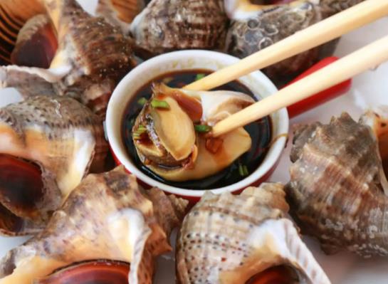 海螺怎么蒸好吃又簡單?大海螺是海鮮嗎