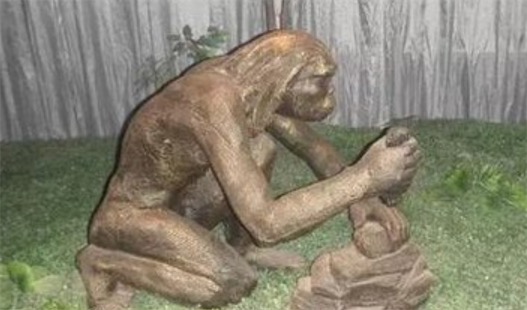 中國境內(nèi)最早的人類 元謀人源于170萬年前