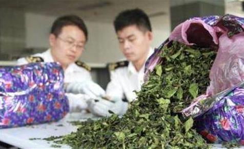 全世界唯一“吃樹(shù)葉”的國(guó)家,把國(guó)家吃垮 巧茶稱為“東非罌粟”