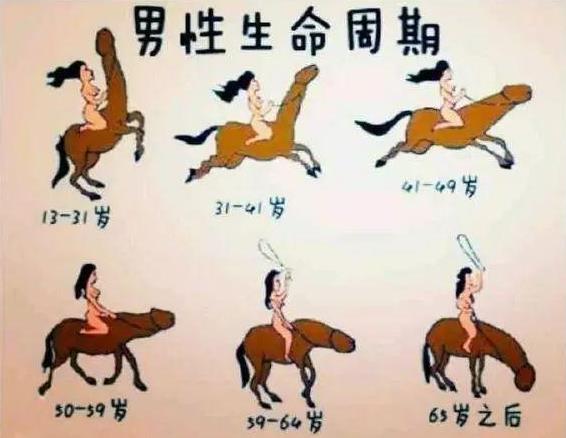 男性的丁丁是什么樣子的?男人命根子的勃起長(zhǎng)度是多少厘米