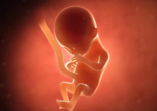 生男生女順口溜農(nóng)歷是陰歷嗎?生男生女的概率是50%嗎?