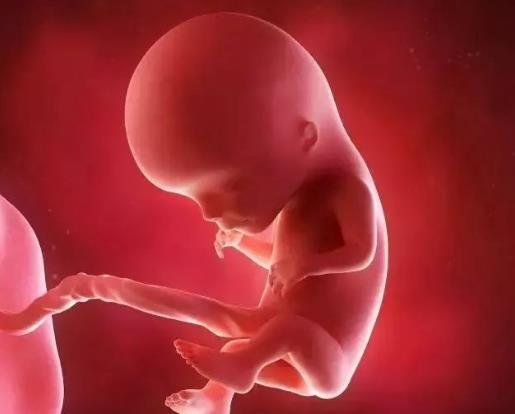 生男生女順口溜農(nóng)歷是陰歷嗎?生男生女的概率是50%嗎?