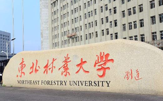 4、東北林業大學.jpg