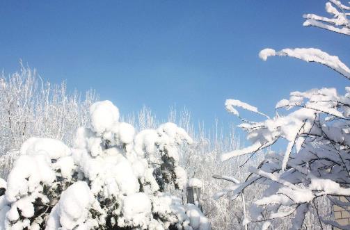 六、《陽春白雪.jpg
