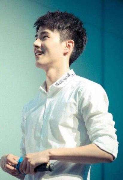 娛樂圈10大最火的90后男星排名,吳亦凡因《老炮兒》走紅
