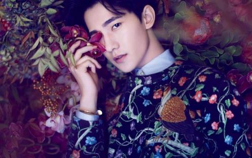 娛樂圈10大最火的90后男星排名,吳亦凡因《老炮兒》走紅
