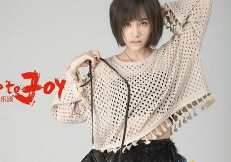 十大都市女性奮斗勵志劇排名,《歡樂頌》最值得一看