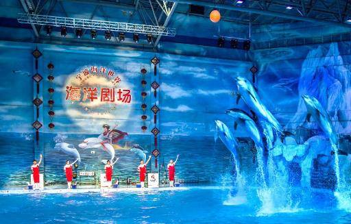 寧波十大親子游景點排名,寧波市海洋世界是AAAA級旅游景區