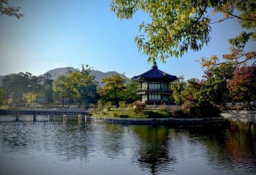 過年國外旅行熱門景點(diǎn)排名,韓國濟(jì)州島能免簽,東京讓你流連忘返