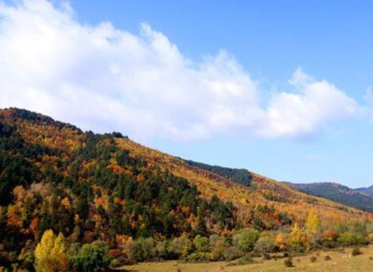 呂梁十大景點排行榜,李家山村如世外桃源,磧口古鎮是晉商發祥地
