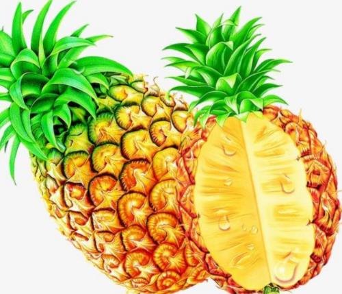 營(yíng)養(yǎng)最豐富的10種水果排名,蘋(píng)果富含維生素C,鱷梨含25種必需營(yíng)養(yǎng)素