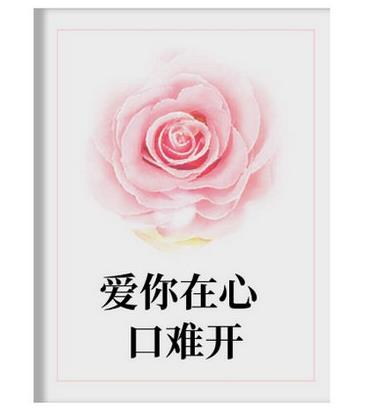十本現代破鏡重圓的小說排名,《十年一品溫如言》故事精彩