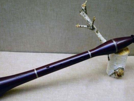 十大最冷門的樂器排名,烏德琴是彈撥樂器,艾捷克設計精致