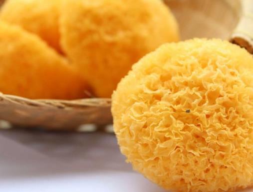 十大清肺化痰的食物排名,梨可清熱潤(rùn)肺,荸薺生津開(kāi)胃