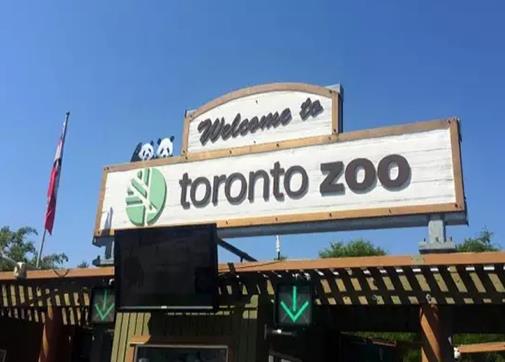 世界十大最佳動(dòng)物園排行,奧馬哈動(dòng)物園、惠靈頓動(dòng)物園很不錯(cuò)