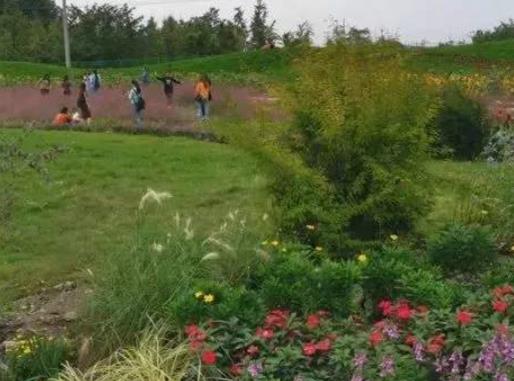 德陽十大風景名勝排行榜,中國和海熱度最高,倉山古鎮歷史悠久