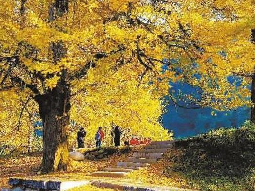 永州十大旅游景點排名,永州江永上甘棠古村、柳子廟吸引游客