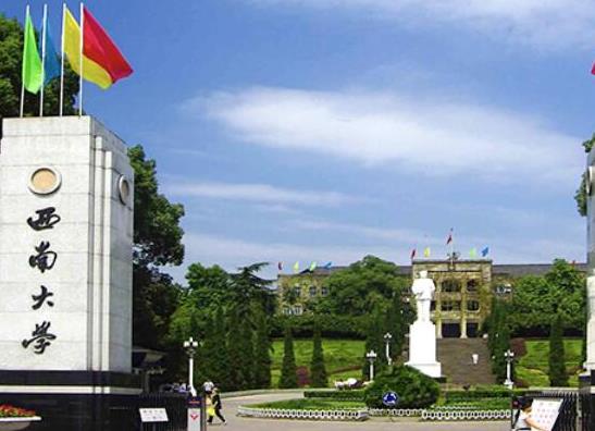 重慶綜合實力最強的十大高校,重慶大學(xué)、西南大學(xué)綜合實力較強