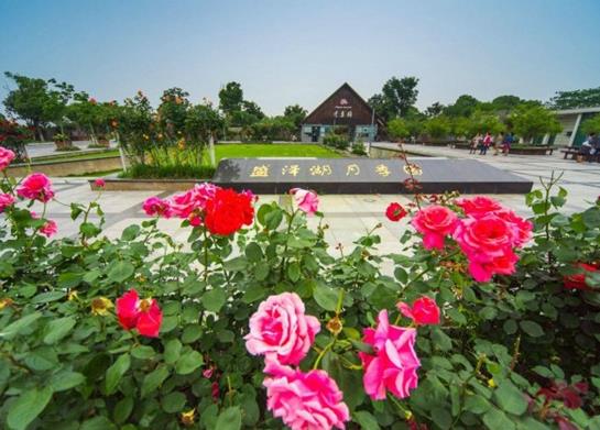 2021年蘇州十大主題公園排行榜,蘇州樂園森林世界觀賞和娛樂都很現(xiàn)代化