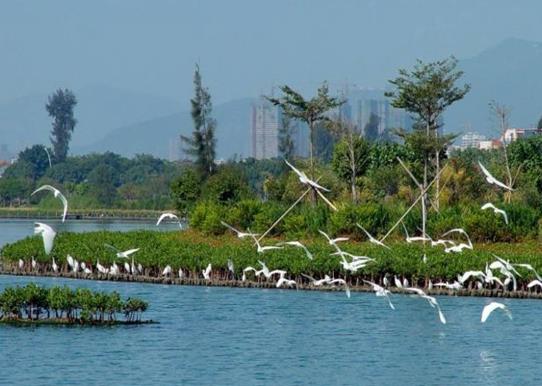 南京十大著名湖泊排行榜,紫霞湖稱為林海中的明珠、白鷺洲公園風景優美