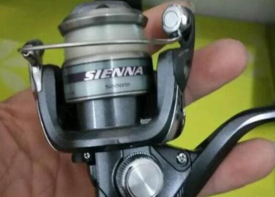 世界十大魚竿品牌排名,達億瓦贏得廣泛好評、禧瑪諾很知名