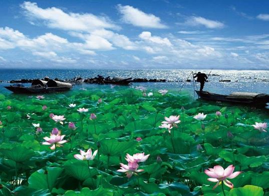 湖北十大著名湖泊排名,東湖觀賞項(xiàng)目多、洪湖被稱為“湖北之腎”