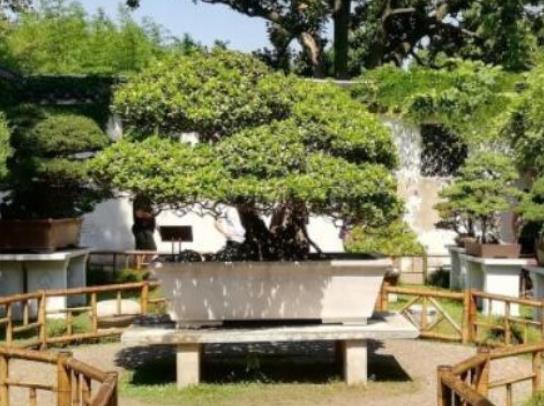 中國十大著名世界文化遺產(chǎn),萬里長城、明清故宮都是世界文化遺產(chǎn)