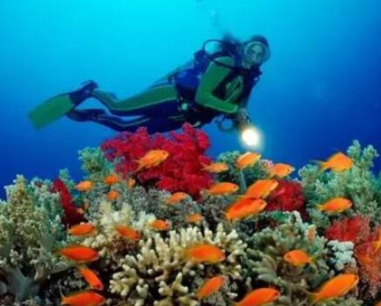 世界十大潛水圣地排名,大藍洞是世界第四深水下石灰石坑洞穴
