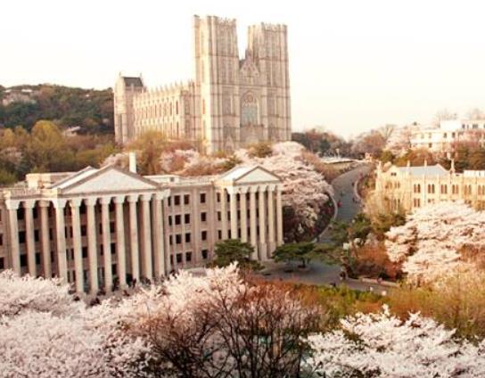 2022韓國大學QS排名,首爾國立大學、韓國科學技術研究所得到業(yè)界廣泛認可