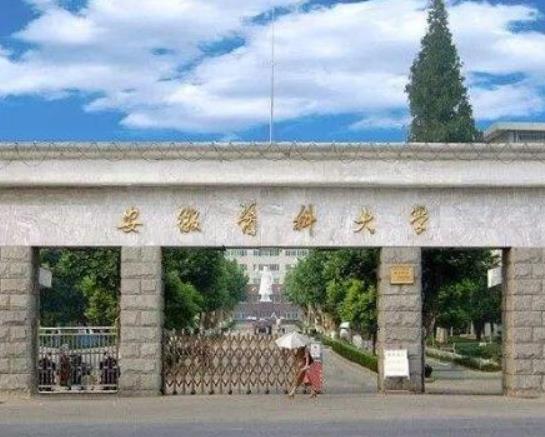 安徽最好的十所大學排名,中國科學技術大學、合肥工業大學教學質量優異