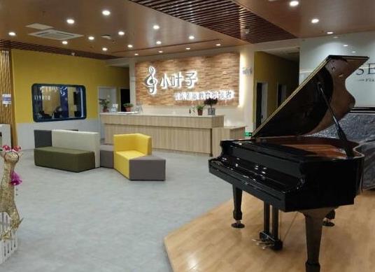 十大鋼琴培訓機構排名,雅馬哈音樂中心、珠江鋼琴藝術教室有足夠的實力