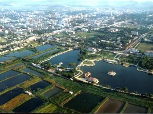 中國十大苗木之鄉(xiāng)排名,湖南省瀏陽市、北京市豐臺(tái)區(qū)非常有名
