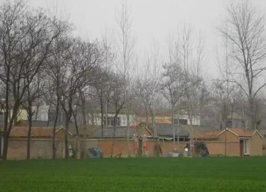 中國十大苗木之鄉(xiāng)排名,湖南省瀏陽市、北京市豐臺(tái)區(qū)非常有名