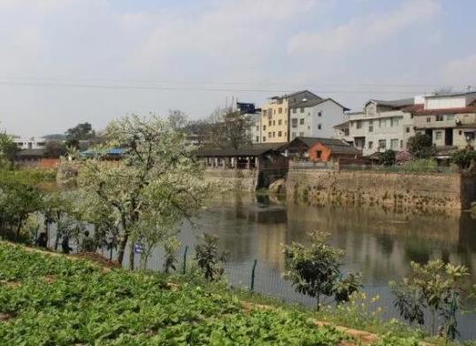 中國十大苗木之鄉(xiāng)排名,湖南省瀏陽市、北京市豐臺(tái)區(qū)非常有名