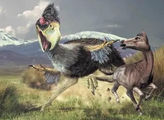 十大已經滅絕的動物排行榜,霸王龍曾是地球霸主、埃及重腳獸像犀牛