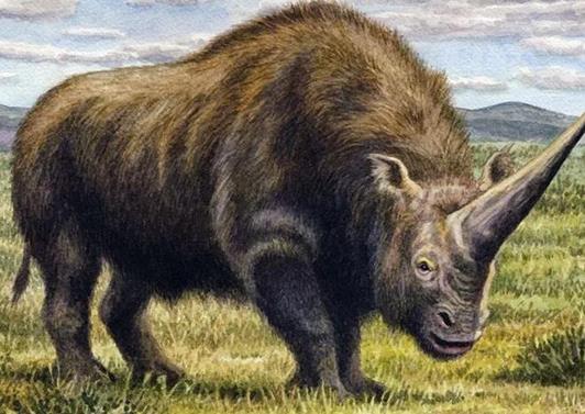 十大已經滅絕的動物排行榜,霸王龍曾是地球霸主、埃及重腳獸像犀牛