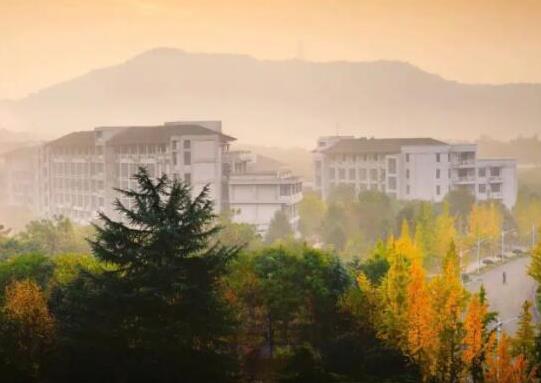 浙江十大名校排名,浙江大學(xué)、浙江工業(yè)大學(xué)都是全國重點大學(xué)