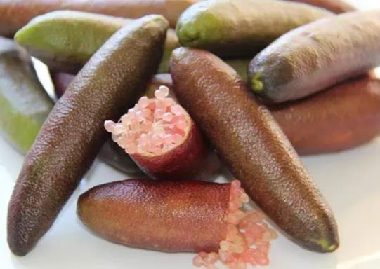 十大高檔水果排行榜,黑西瓜產(chǎn)量很低極其珍貴、白草莓口感香甜
