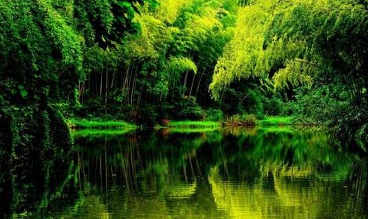 四川省宜賓市十大旅游景點(diǎn)排行榜 宜賓有什么好玩的地方