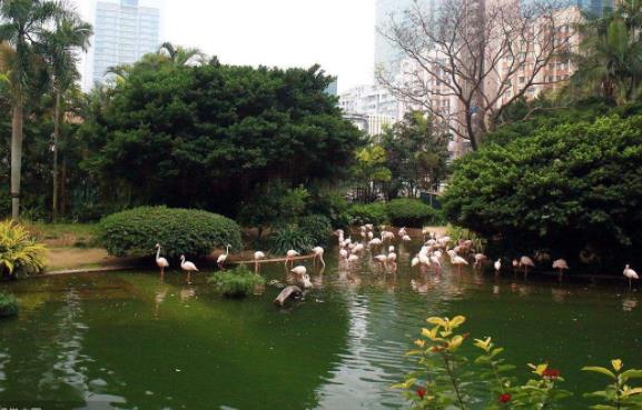 香港油尖旺區(qū)十大旅游景點排行榜 油尖旺區(qū)有什么好玩的地方