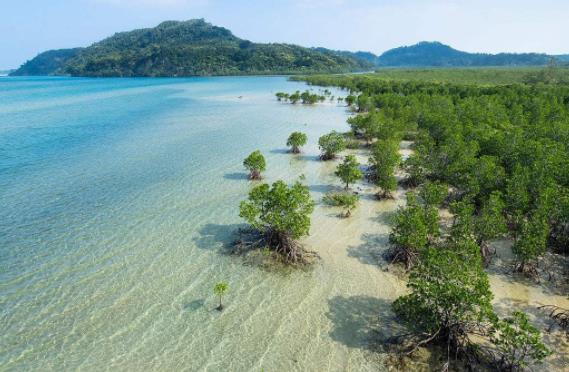 日本沖繩縣十大旅游景點(diǎn)排行榜 沖繩縣有什么好玩的地方