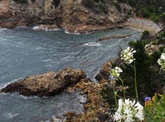 愛爾蘭梅奧郡八大旅游排行 巴林圖伯修道院是一處皇室修道院