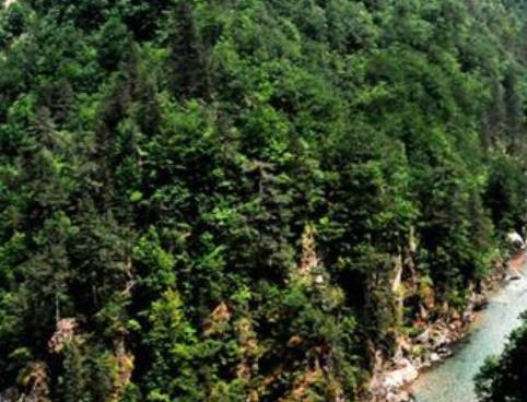 黑山十大旅游景點排行 塔拉河谷大橋位于黑山北部塔拉河谷地區(qū)