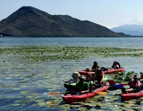 黑山十大旅游景點排行 塔拉河谷大橋位于黑山北部塔拉河谷地區(qū)