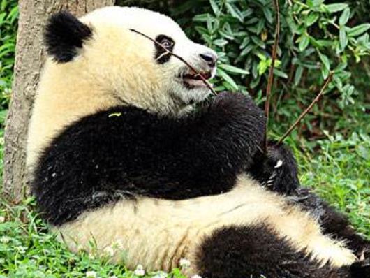 美國(guó)人心中十大中國(guó)必去景點(diǎn)旅游景點(diǎn)排行 紫禁城坐落在北京城中心
