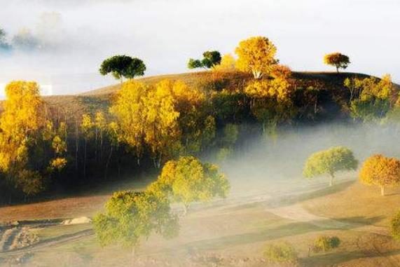 中國(guó)十大勾魂美景旅游景點(diǎn)排行 油菜花面積達(dá)四十萬畝左右