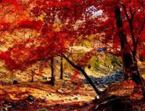 中國(guó)最美的十大秋色秋景觀賞地旅游景點(diǎn)排行 喀納斯登峰造極的秋色
