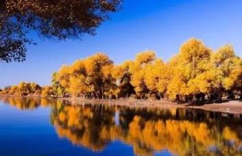 盤點假期最去不得的景區(qū) 麗江找床睡覺不容易