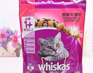 什么品牌的貓糧最好 三才貓糧在食用時候要注意多補水了