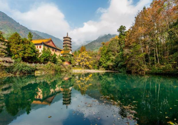 天目山景區景色如何?如何游覽?